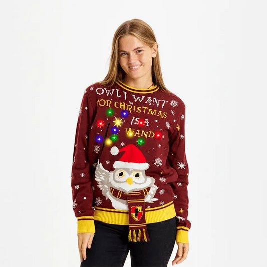 “Harry Potter” Christmas sweater