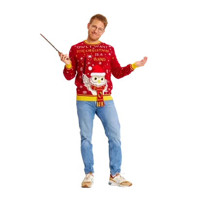 “Harry Potter” Christmas sweater